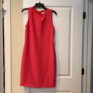 Brand new Calvin Klein dress- perfect for work!!